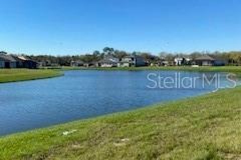 Land in Parrish, Florida № 1845195 - photo 2