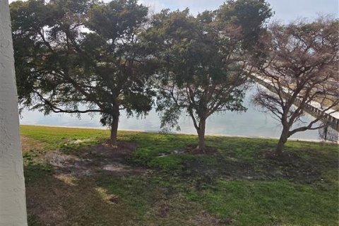 Condominio en alquiler en Tierra Verde, Florida, 1 dormitorio, 73.39 m2 № 2425526 - foto 23