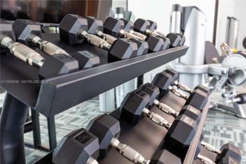 Снять в аренду виллу или дом в Майами, Флорида 1 спальня, № 1991209 - фото 19