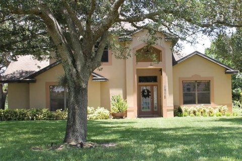 House in Mount Dora, Florida 3 bedrooms, 224.17 sq.m. № 1827888 - photo 1