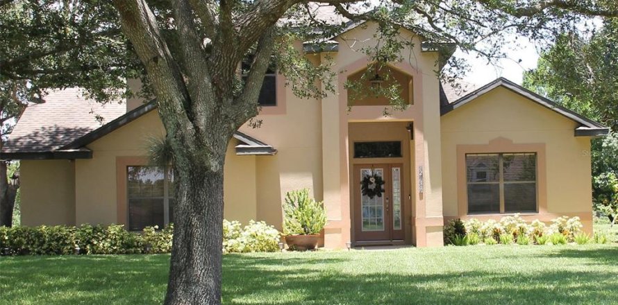 House in Mount Dora, Florida 3 bedrooms, 224.17 sq.m. № 1827888