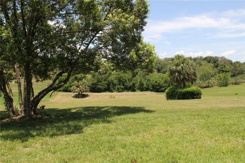 House in Mount Dora, Florida 3 bedrooms, 224.17 sq.m. № 1827888 - photo 27