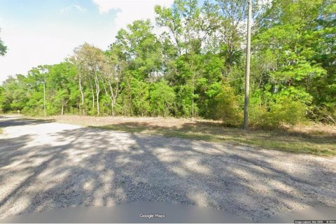 Land in Citrus Springs, Florida № 2213964