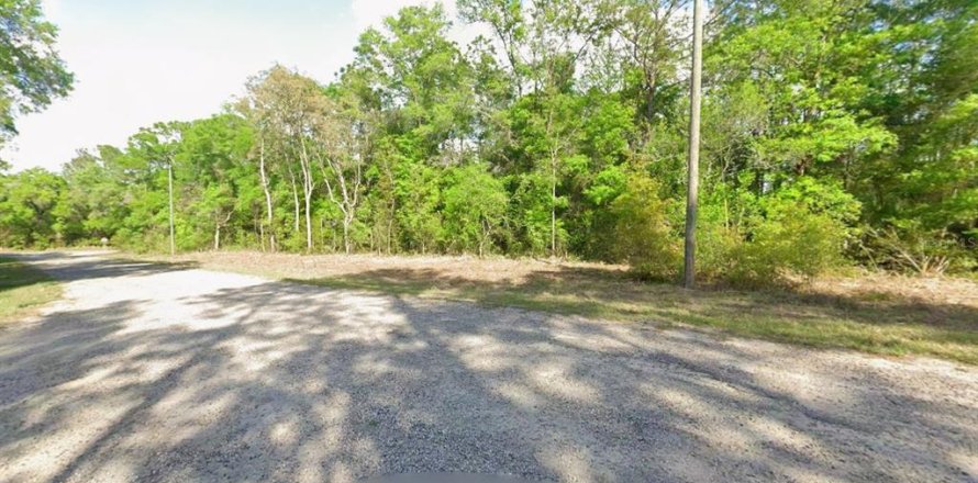 Land in Citrus Springs, Florida № 2213964