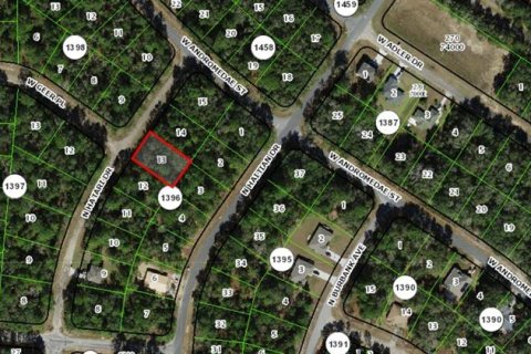 Land in Citrus Springs, Florida № 2213964 - photo 2