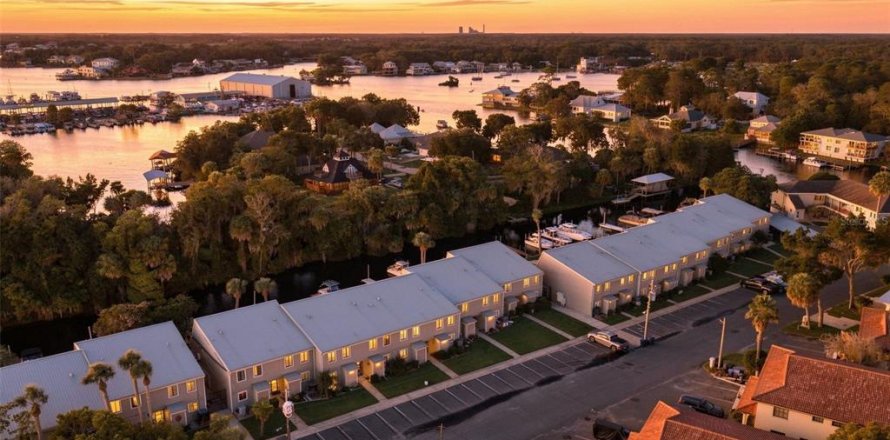 Condo à Crystal River, Floride, 2 chambres  № 2296435