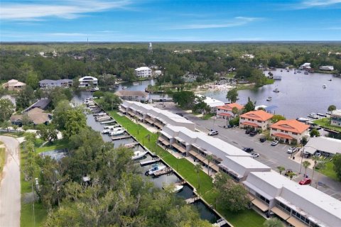Copropriété à vendre à Crystal River, Floride: 2 chambres, 121.79 m2 № 2296435 - photo 9