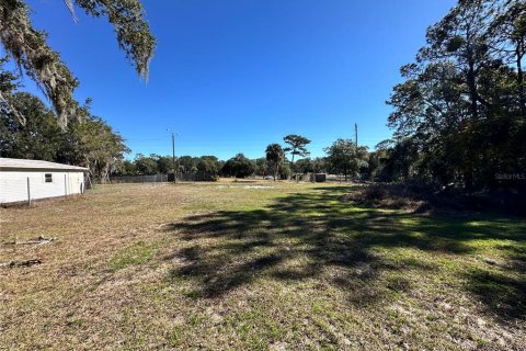 Terrain à vendre à Apopka, Floride № 2130461 - photo 6