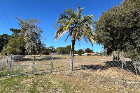 Terrain à Apopka, Floride № 2130461