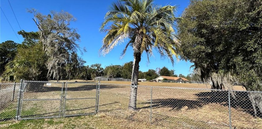 Terrain à Apopka, Floride № 2130461