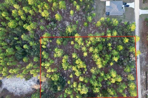 Land in Ocala, Florida № 1719846 - photo 7