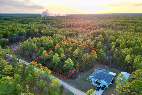 Land in Ocala, Florida № 1719846 - photo 2