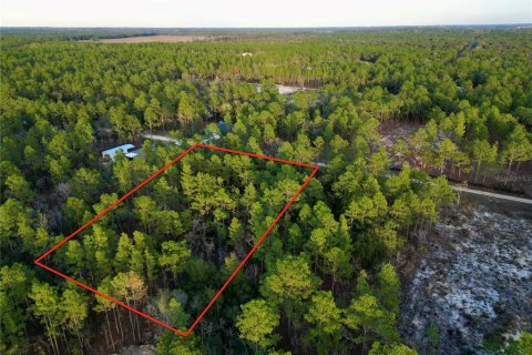 Land in Ocala, Florida № 1719846 - photo 4