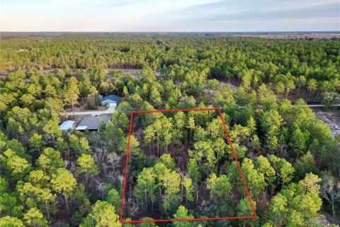 Land in Ocala, Florida № 1719846 - photo 6