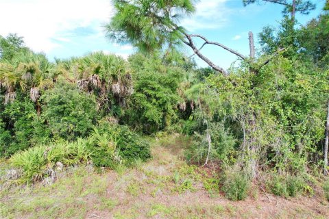 Land in North Port, Florida № 2379052 - photo 5