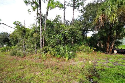Land in North Port, Florida № 2379052 - photo 3
