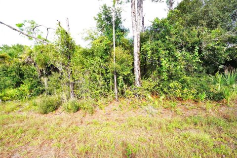 Land in North Port, Florida № 2379052 - photo 2