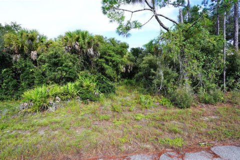Land in North Port, Florida № 2379052