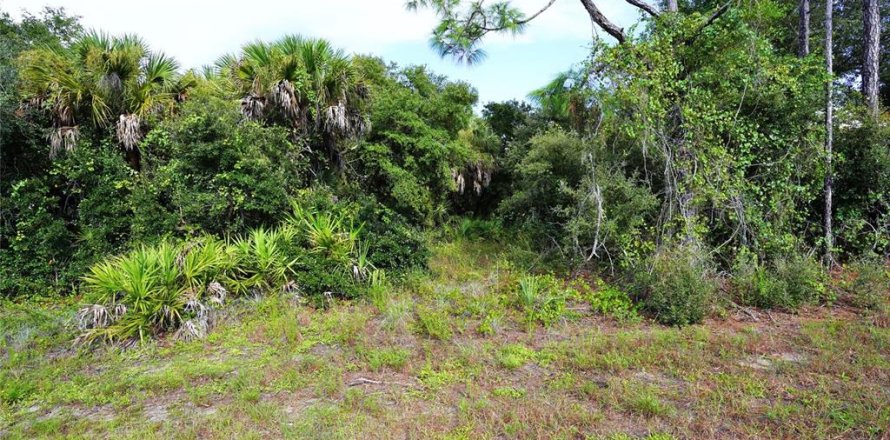 Land in North Port, Florida № 2379052