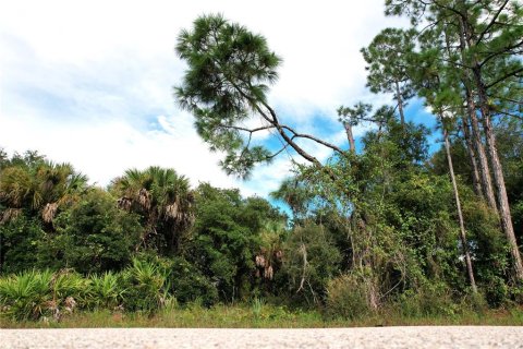 Land in North Port, Florida № 2379052 - photo 4