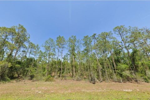 Terreno en venta en Lake Wales, Florida № 2234925 - foto 2