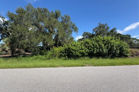 Land in Port Charlotte, Florida № 2159392 - photo 4