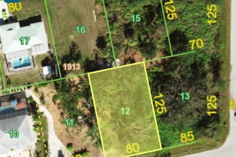 Land in Port Charlotte, Florida № 2159392 - photo 2