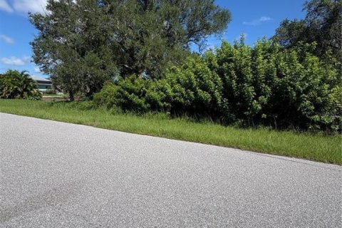 Land in Port Charlotte, Florida № 2159392 - photo 3