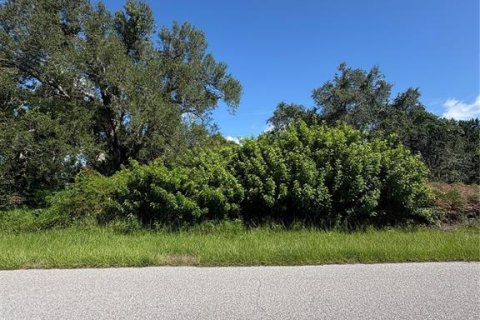 Land in Port Charlotte, Florida № 2159392 - photo 5