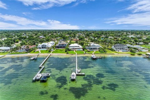 Villa ou maison à vendre à Bradenton, Floride: 4 chambres, 597.45 m2 № 2434523 - photo 4
