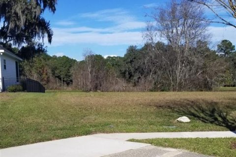 Terreno en venta en Gainesville, Florida № 1063855 - foto 1