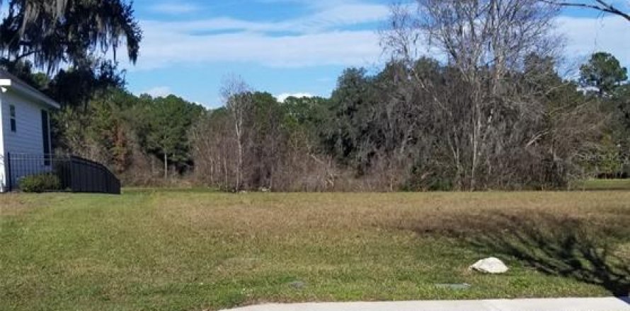 Terreno en Gainesville, Florida № 1063855