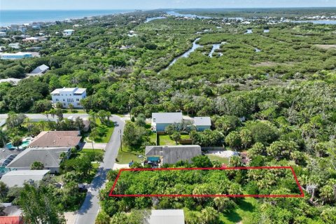 Land in Flagler Beach, Florida № 1277301 - photo 10
