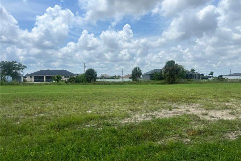 Land in Cape Coral, Florida № 1318530 - photo 1