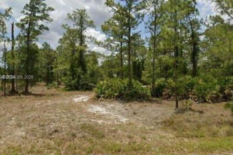 Land in Lehigh Acres, Florida № 2158655