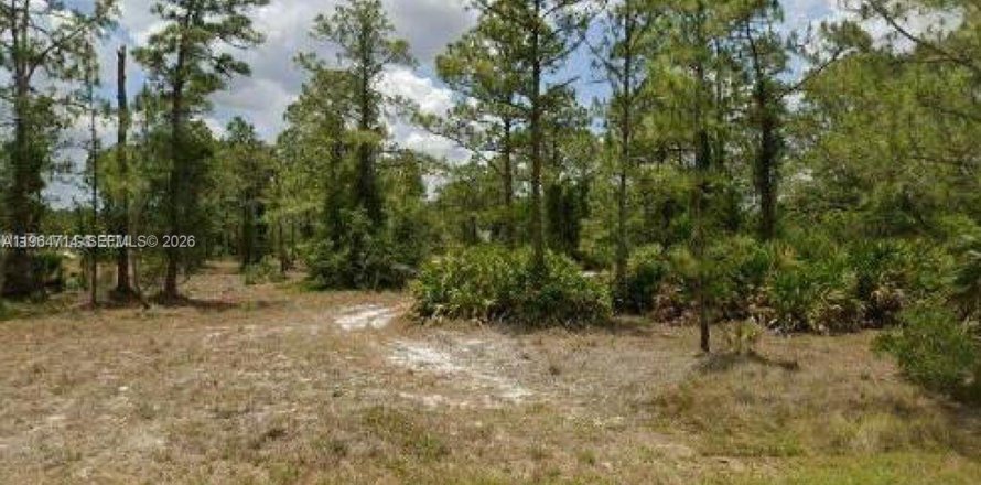 Land in Lehigh Acres, Florida № 2158655