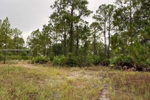 Land in Lehigh Acres, Florida № 2158655 - photo 3