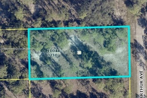 Land in Lehigh Acres, Florida № 2158655 - photo 2