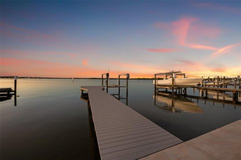 Villa ou maison à vendre à Saint Petersburg, Floride: 4 chambres, 353.03 m2 № 1558030 - photo 5