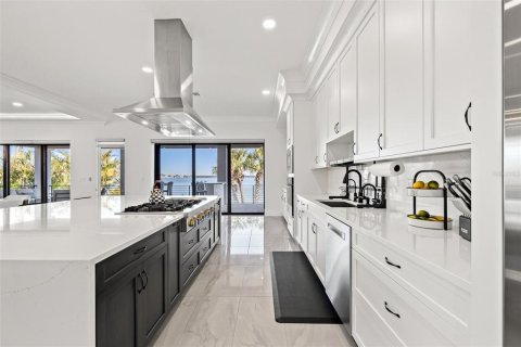Villa ou maison à vendre à Saint Petersburg, Floride: 4 chambres, 353.03 m2 № 1558030 - photo 20