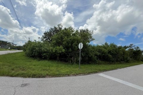 Land in Englewood, Florida № 1791268 - photo 9