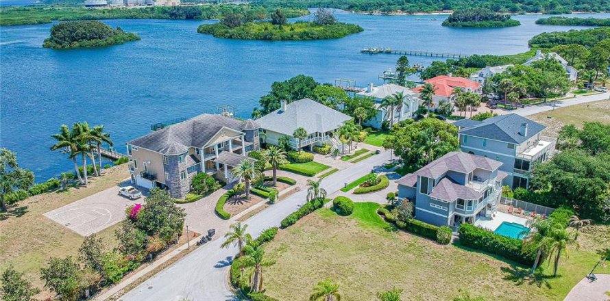 Land in Tarpon Springs, Florida № 247810