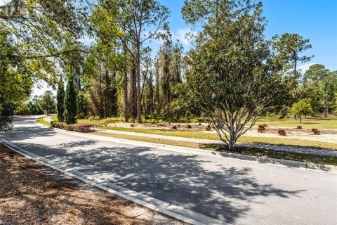 Terreno en venta en Montverde, Florida № 1724461 - foto 8