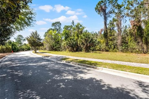 Terreno en venta en Montverde, Florida № 1724461 - foto 7