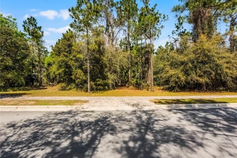 Terreno en venta en Montverde, Florida № 1724461 - foto 3
