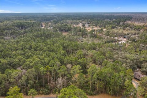 Terrain à vendre à Eustis, Floride № 2109077 - photo 6