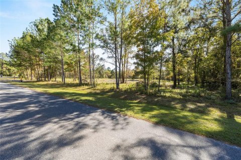 Terrain à vendre à Williston, Floride № 2213522 - photo 6
