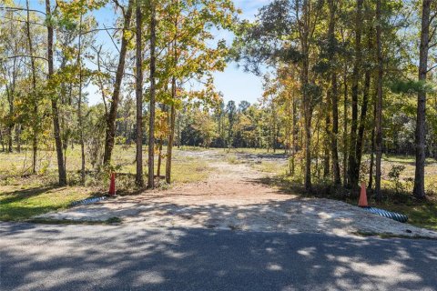 Terrain à vendre à Williston, Floride № 2213522 - photo 5