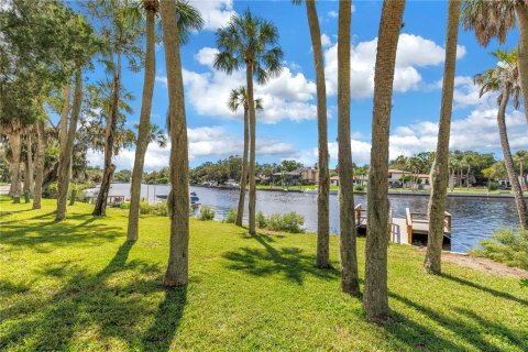 Villa ou maison à vendre à New Port Richey, Floride: 3 chambres, 161.65 m2 № 2389075 - photo 8