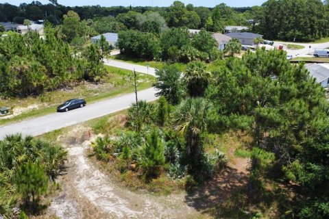 Land in Palm Bay, Florida № 2158800 - photo 5